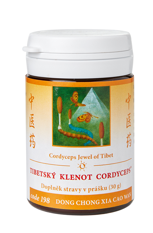 Tibetisches Kleinod Cordyceps